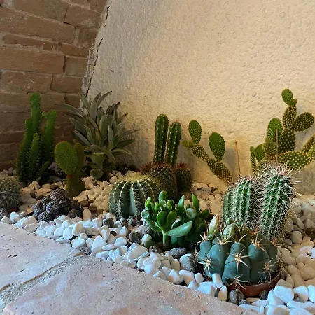 Lejlighed Cactus *