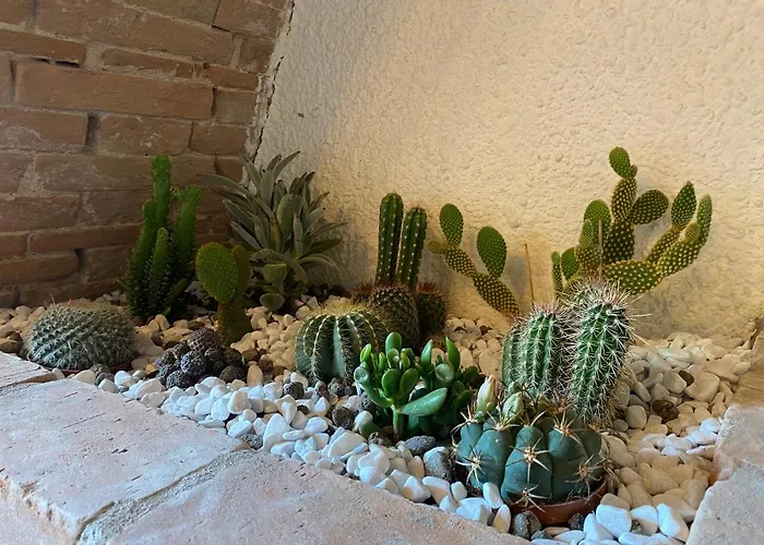 Appartamento Cactus *